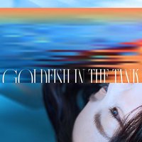 Goldfish in the Tank