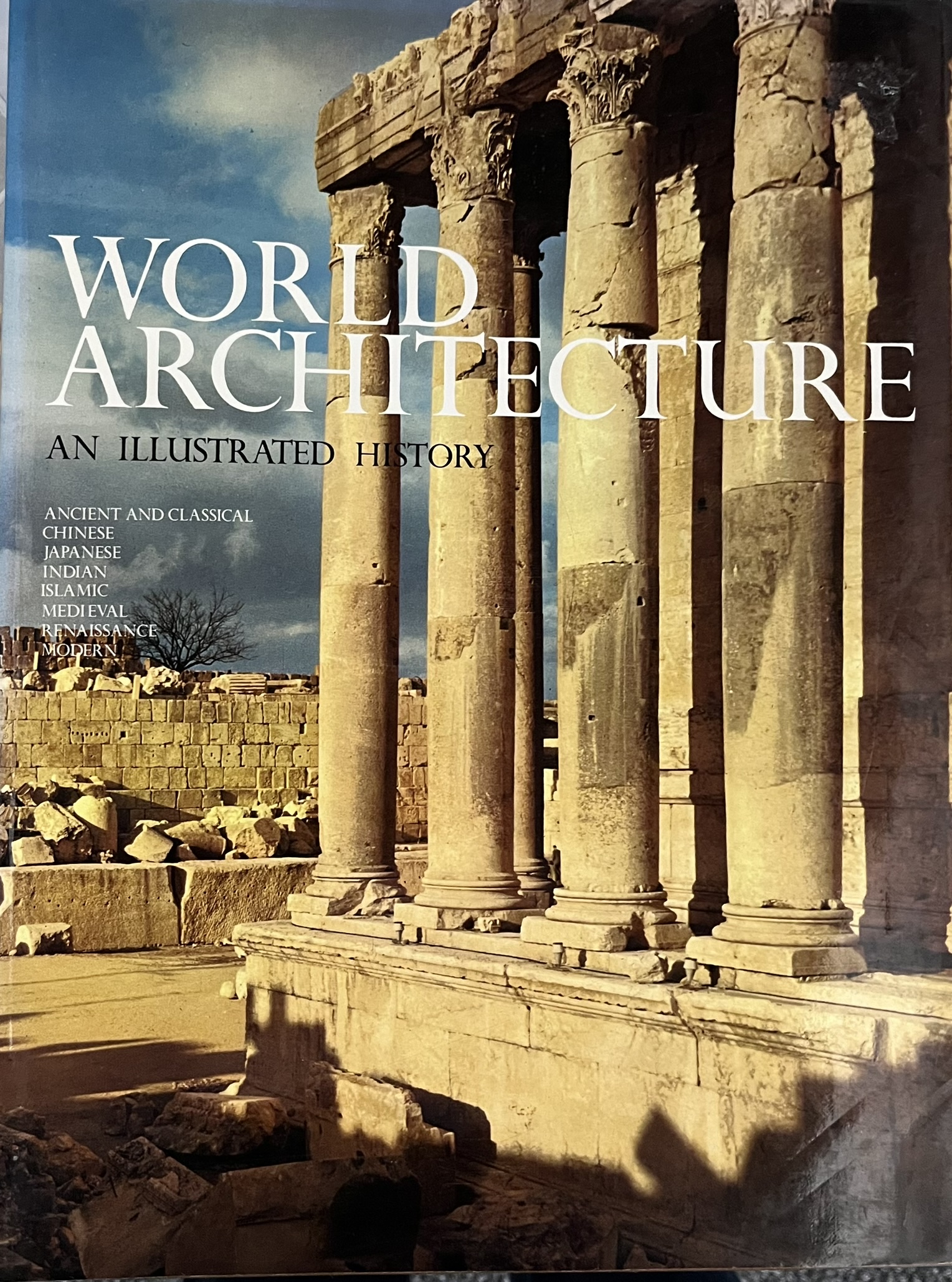 World Architecture. An Illustrated History