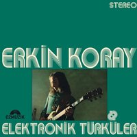 Elektronik Türküler
